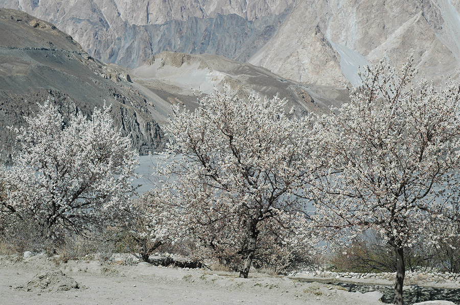 Pakistan, Gojal (Indie, Pakistan, Iran 2007, część pierwsza)